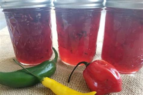 raspberry-hot-pepper-jelly-recipe-wondermom-wannabe image