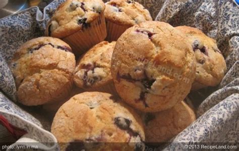 jordan-marsh-style-blueberry-muffins image