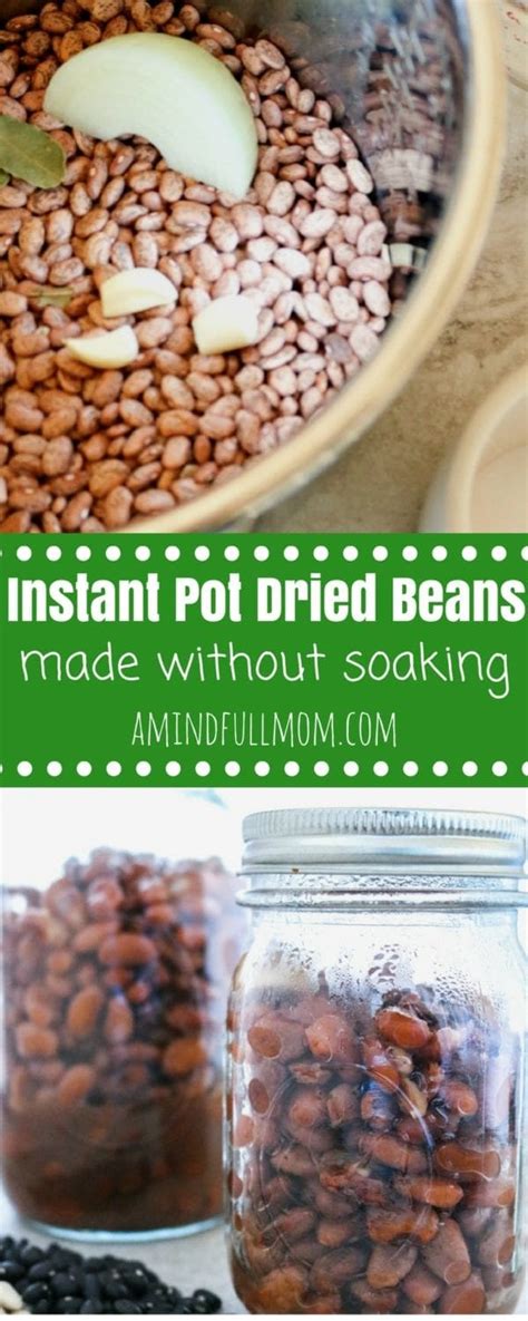 instant-pot-beans-a-mind-full-mom image