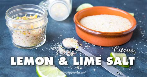 citrus-lemon-and-lime-salt-recipe-chili-pepper image
