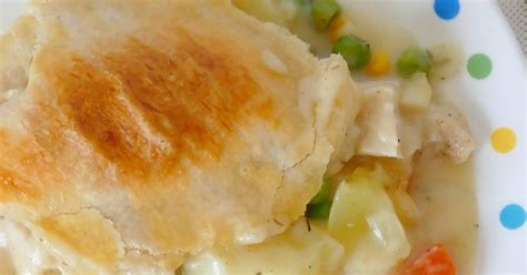 homemade-chicken-or-turkey-pot-pie-recipe-hot image