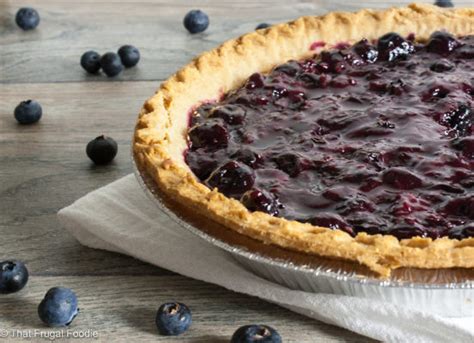 open-faced-blueberry-pie-recipe-that-frugal-foodie image