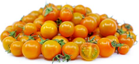 orange-cherry-tomatoes-information-recipes-and-facts image