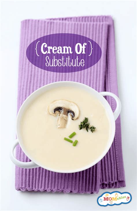 cream-of-mushroom-soup-substitute-recipe-momables image