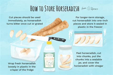 all-about-fresh-horseradish-root-the-spruce-eats image