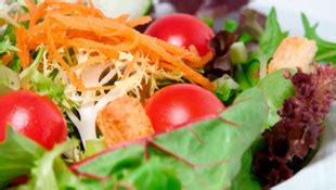 calico-salad-bowl-ott-food-products image
