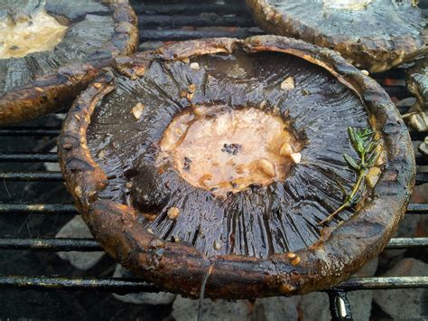 meaty-broiled-portobello-mushroom-recipe-the-spruce image