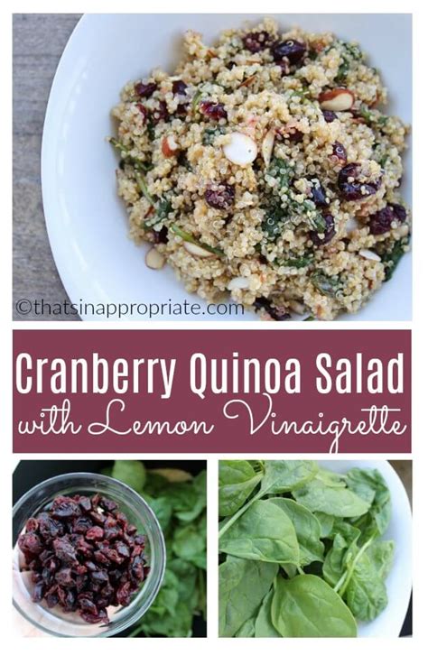 cranberry-quinoa-salad-and-lemon-vinaigrette-filter image