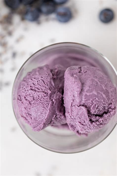 blueberry-lavender-ice-cream-wyse-guide image
