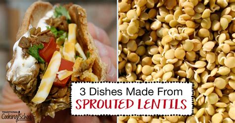 how-to-sprout-lentils-3-delicious image
