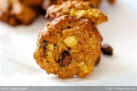 apple-oatmeal-raisin-cookies-recipe-recipelandcom image