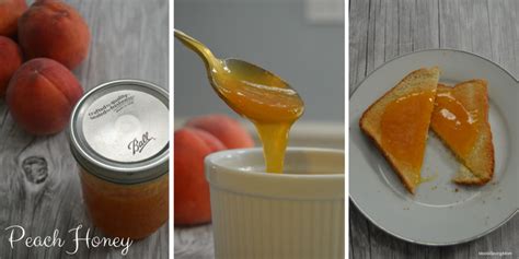 peach-honey-recipe-moola-saving-mom image