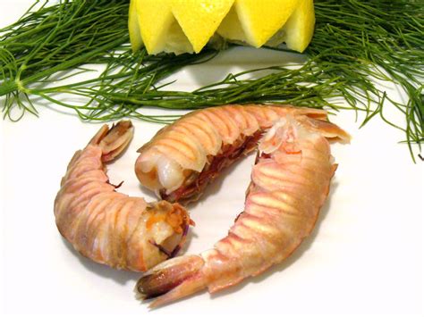 what-are-rock-shrimp-the-spruce-eats image