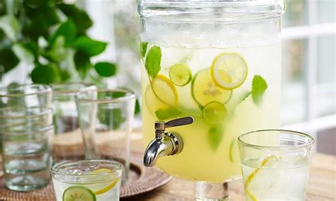 minted-meyer-lemonade-food-channel image