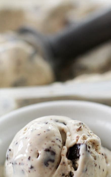 homemade-java-chip-ice-cream-mother-would-know image