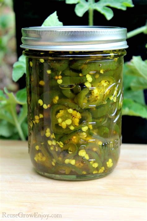 recipe-for-candied-jalapenos-aka-cowboy-candy-canning image