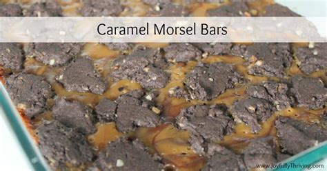 caramel-morsel-bars-joyfully-thriving image