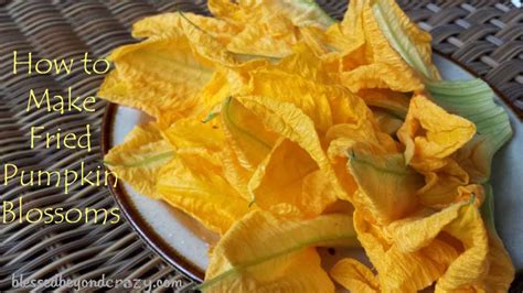 how-to-make-fried-pumpkin-blossoms-blessed image