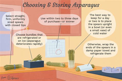how-to-cook-and-eat-asparagus-choosing-and-storing image