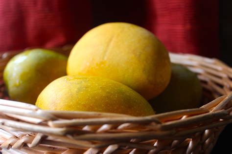 preserved-mango-puree-the-food-samaritan image