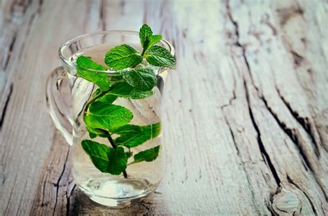 easy-healthy-mint-water-recipes-cook-for-your-life image