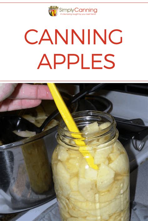 canning-apples-the-perfect-shelf-stable-sweet-treat-any image