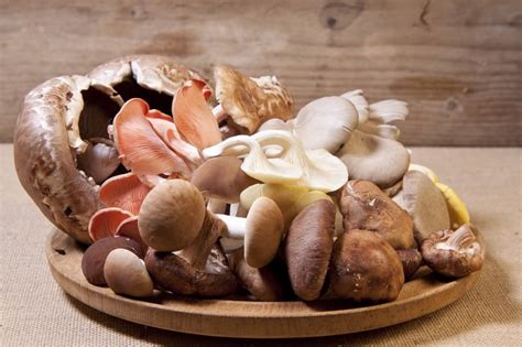 the-12-healthiest-mushrooms-that-you-can-eat-food image