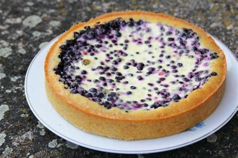 blueberry-sour-cream-tart-grown-to-cook image