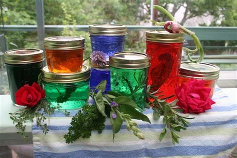 jim-longs-garden-making-herb-jelly image