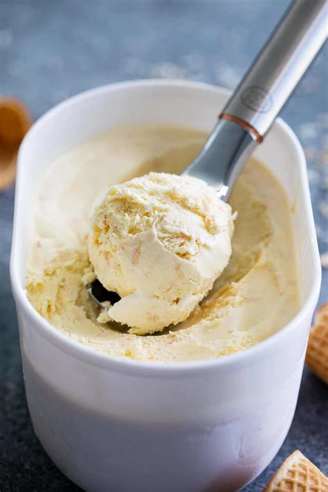 toasted-coconut-ice-cream-recipe-taste-and-tell image