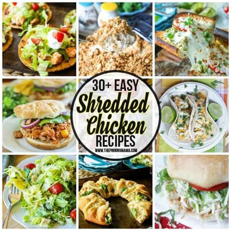 the-big-list-of-easy-shredded-chicken image