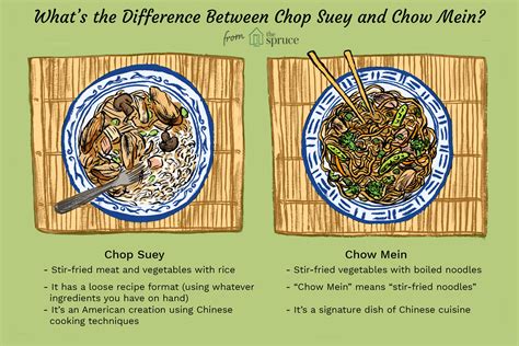 chop-suey-vs-chow-mein-in-chinese-cuisine-the image