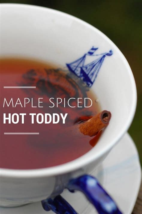 maple-spiced-hot-toddy-perfect-for-fall-healthy-slow image