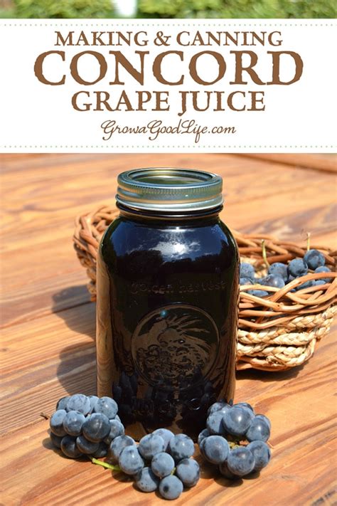 homemade-concord-grape-juice-grow-a-good-life image