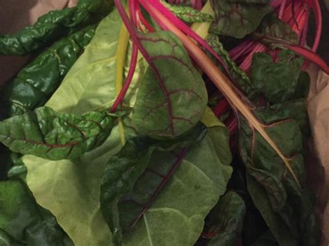 red-swiss-chard-nutrition-facts-eat-this-much image