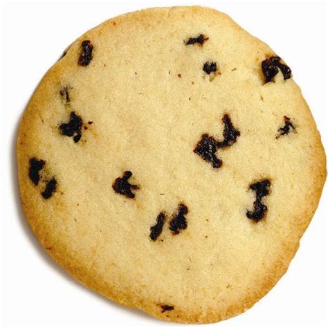 brown-sugar-and-currant-icebox-cookies image
