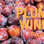 simple-easy-plum-wine-recipe-home-brew-answers image