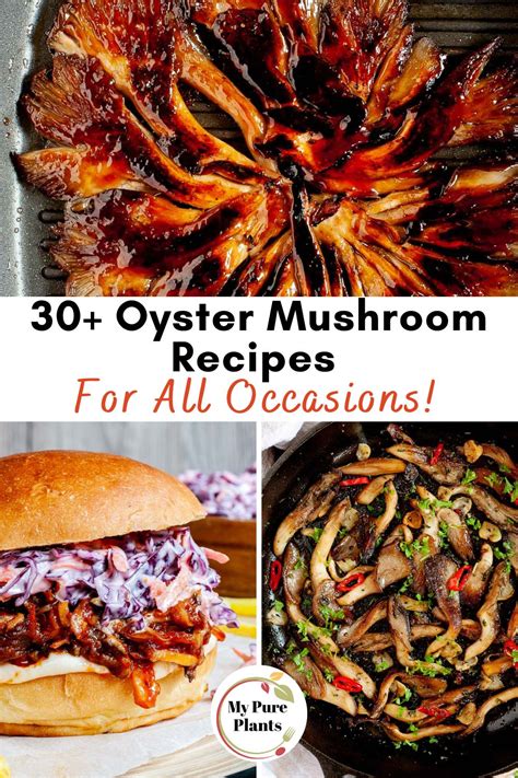 35-must-try-oyster-mushroom-recipes-vegan-my-pure image
