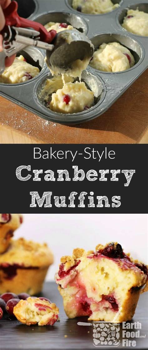 bakery-style-buttermilk-cranberry-muffins-earth-food image