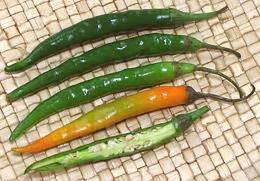 indian-chilis-clovegarden image
