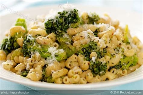 broccoli-and-macaroni-with-lots-of-garlic image