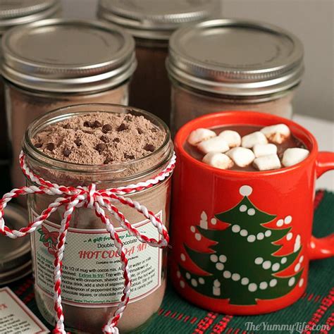 double-chocolate-hot-cocoa-mix-the-yummy-life image