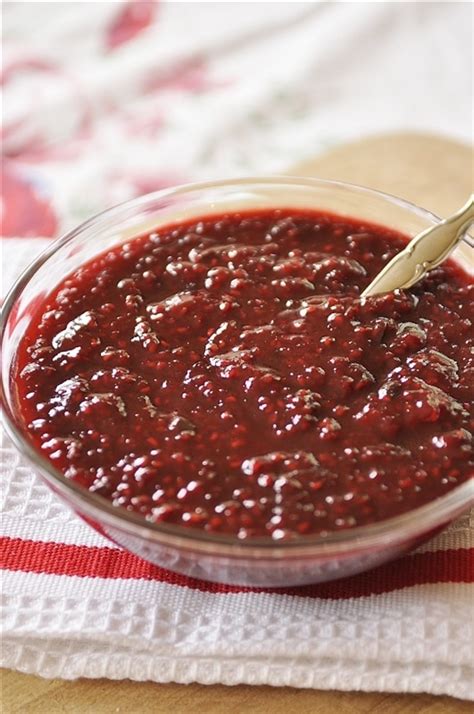 raspberry-chipotle-sauce-recipe-by-leigh-anne-wilkes image