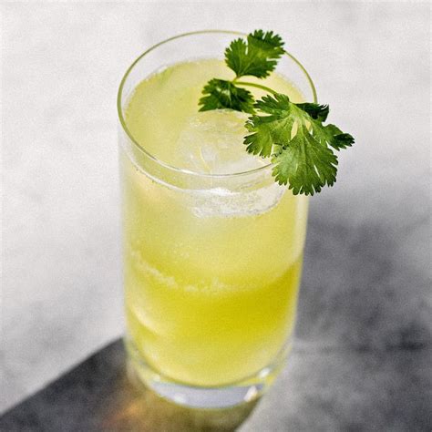 tequila-limeade-cocktail-recipe-liquorcom image