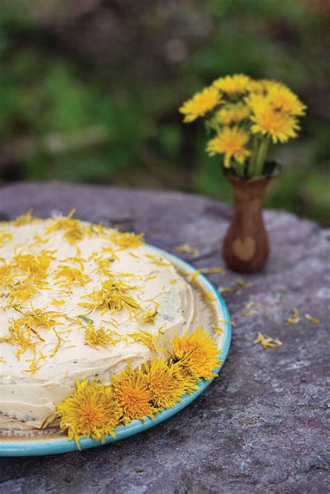 wildcrafted-dandelion-tea-cake-recipes-mountain image