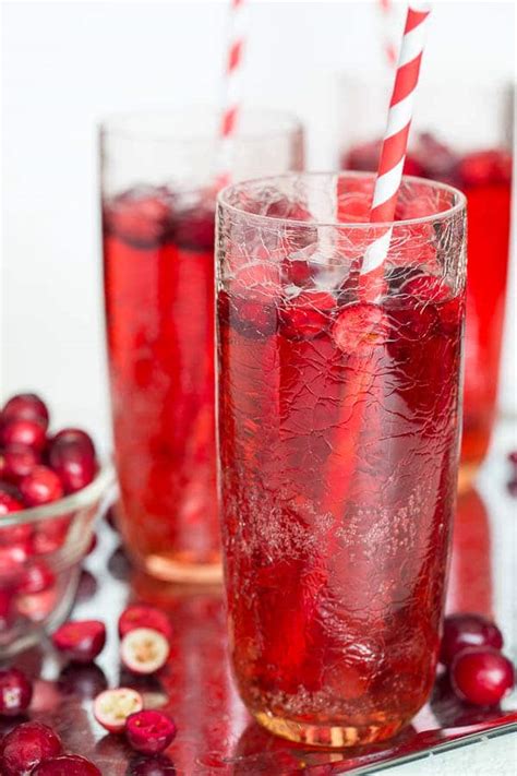 cranberry-ginger-ale-punch-sweet-savory image