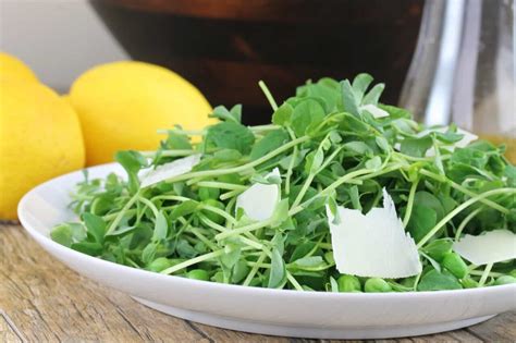 pea-shoot-salad-with-fresh-lemon-vinaigrette image