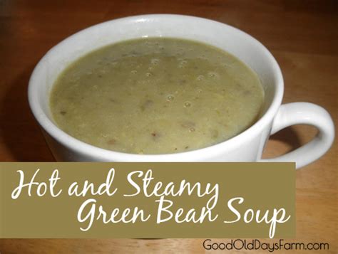 cream-of-green-bean-soup-happy-unconventional-life image