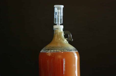 how-to-make-mead-at-home-easy-guide-homebrew image