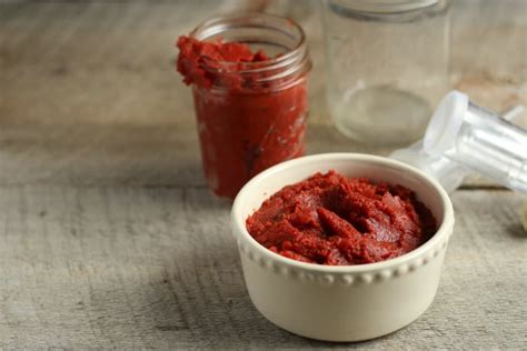 homemade-fermented-ketchup-recipe-the-prairie image